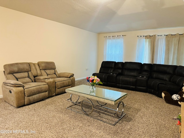 living room with carpet flooring and a textured ceiling