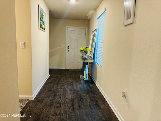 hallway with dark wood-type flooring and a wealth of natural light