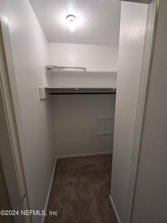 spacious closet with dark carpet