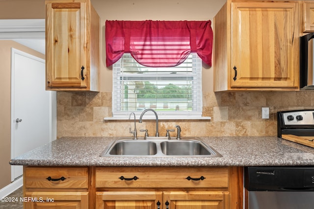 kitchen with stainless steel dishwasher, tasteful backsplash, and sink