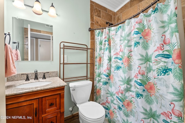 bathroom featuring vanity, toilet, and a shower with curtain