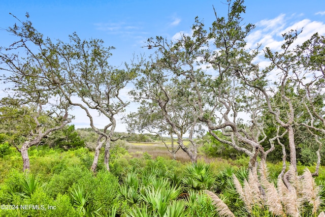 view of nature