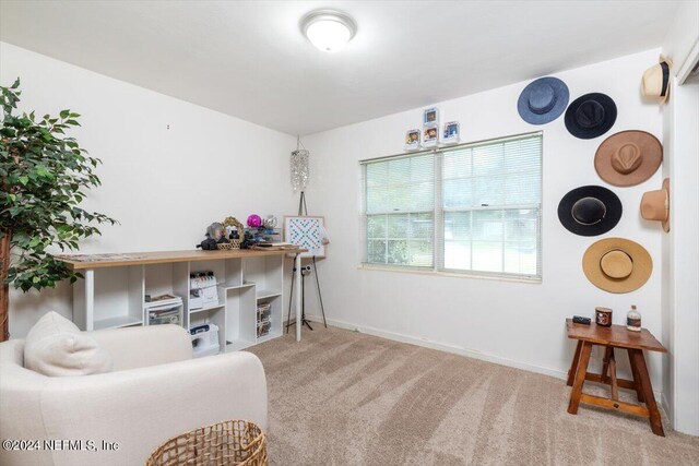 view of carpeted home office