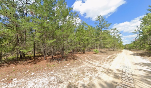 Listing photo 2 for 109 Blueberry St, Welaka FL 32193