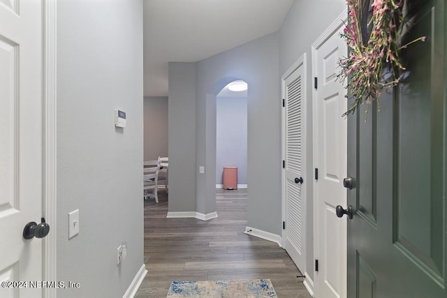 foyer featuring dark wood-type flooring