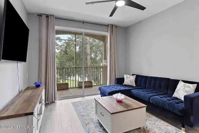 living room featuring ceiling fan and light hardwood / wood-style floors