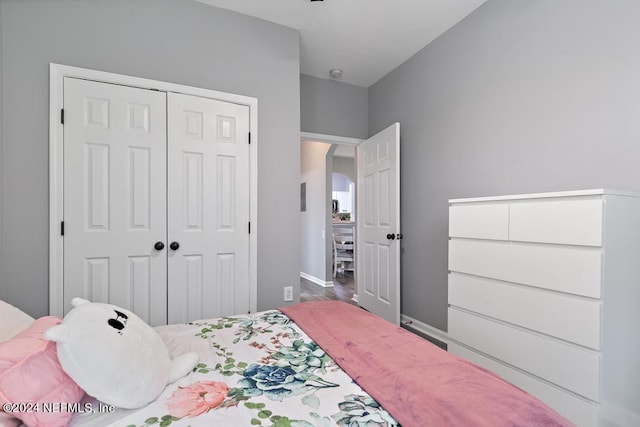 bedroom with a closet and wood-type flooring