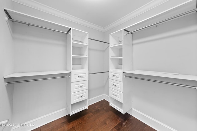 walk in closet with dark wood-type flooring