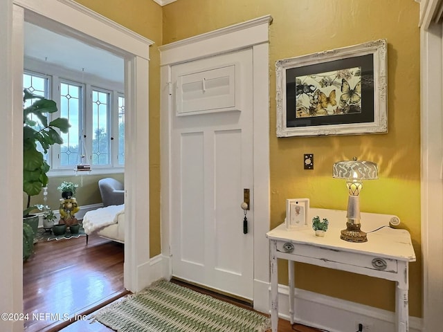 entryway with hardwood / wood-style floors