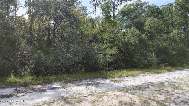 209 Ocala Ct, Georgetown FL, 32139 land for sale