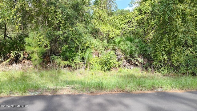 Listing photo 2 for 118 Tequesta Trl, Georgetown FL 32139