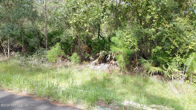 Listing photo 3 for 118 Tequesta Trl, Georgetown FL 32139