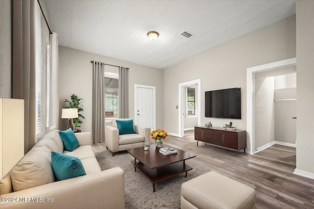 living room with hardwood / wood-style floors and a wealth of natural light