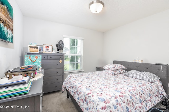 243 Bluejack Ln, Saint Augustine, FL 32095 - bedroom with carpet flooring