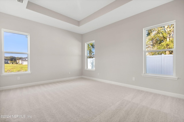 carpeted spare room with a tray ceiling