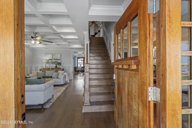 stairs with beamed ceiling, hardwood / wood-style flooring, coffered ceiling, ornamental molding, and ceiling fan