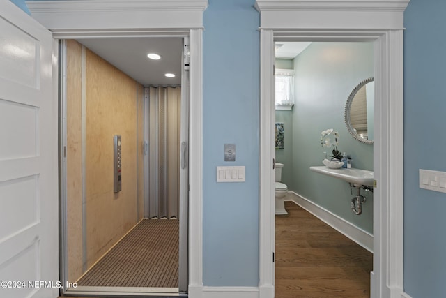 hall featuring hardwood / wood-style floors and elevator