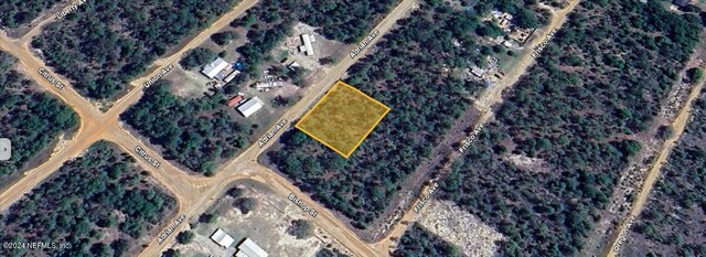 0 Adrian Ave, Interlachen FL, 32148 land for sale