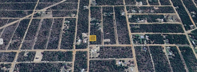 Listing photo 3 for 0 Adrian Ave, Interlachen FL 32148