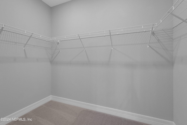 walk in closet featuring carpet flooring