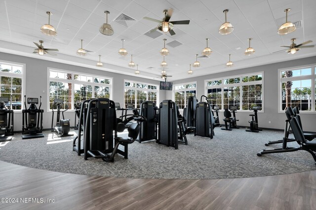 exercise room featuring ceiling fan, a raised ceiling, and wood-type flooring