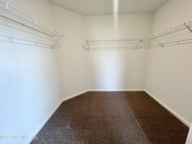 walk in closet with carpet flooring