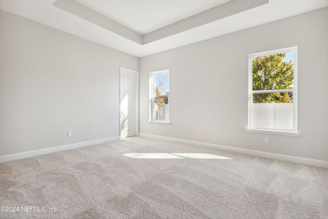 unfurnished room with light colored carpet and a raised ceiling