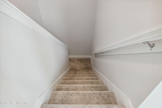 staircase featuring carpet