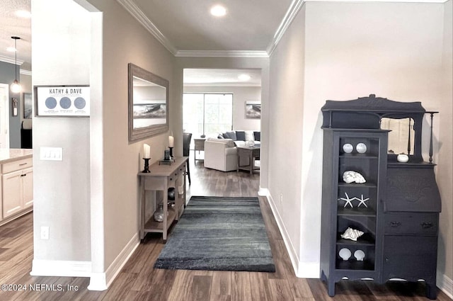 hallway featuring crown molding and dark hardwood / wood-style floors