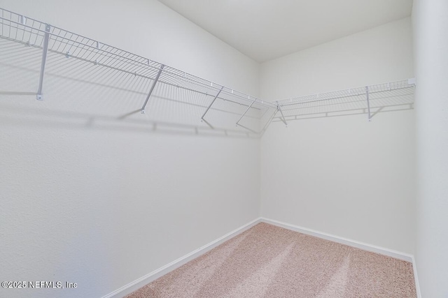 walk in closet with carpet