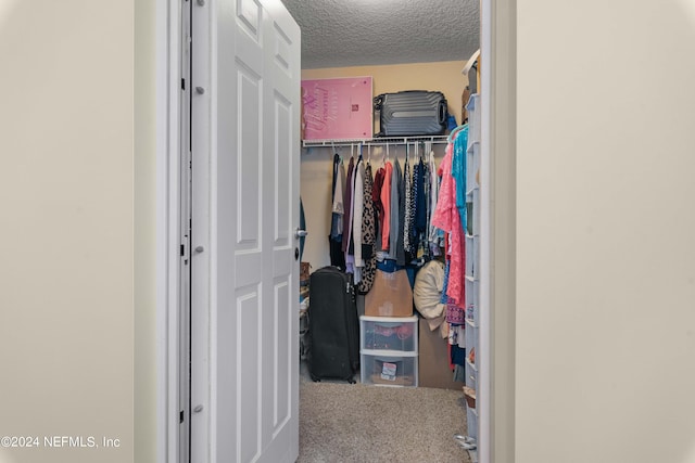 spacious closet featuring carpet floors