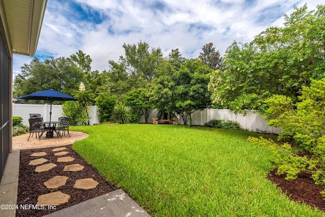 view of yard featuring a patio