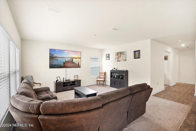 living room featuring hardwood / wood-style flooring