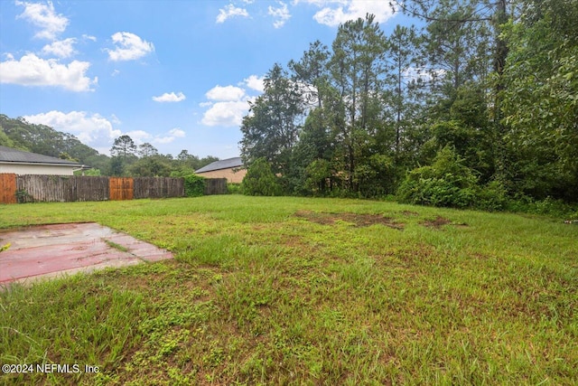 view of yard featuring a patio area