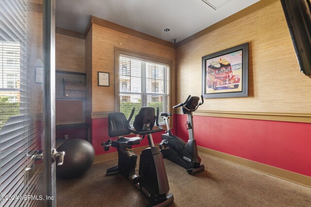 workout room featuring plenty of natural light and carpet