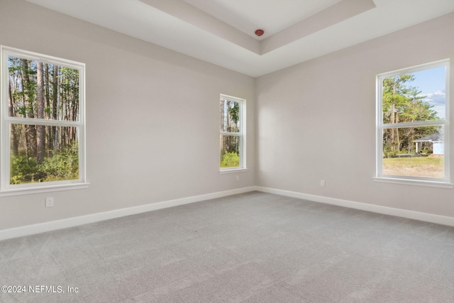 empty room with carpet and a healthy amount of sunlight