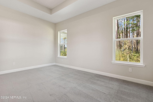 unfurnished room featuring light carpet