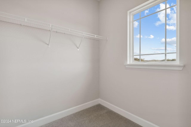 walk in closet featuring carpet