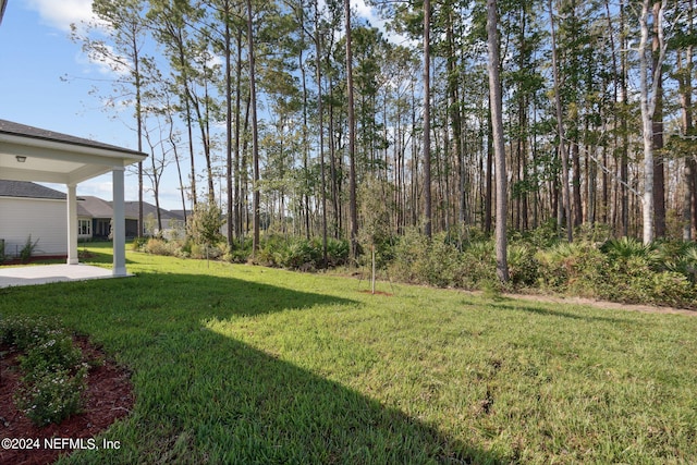 view of yard featuring a patio area