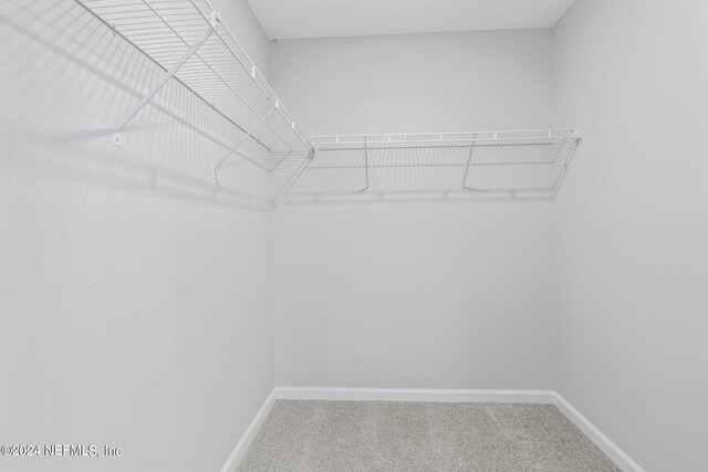 walk in closet with carpet floors