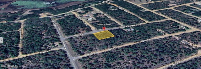 Listing photo 2 for 0 Mattock St, Interlachen FL 32148