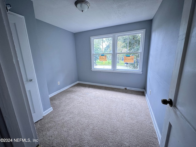 empty room featuring a textured ceiling and carpet flooring