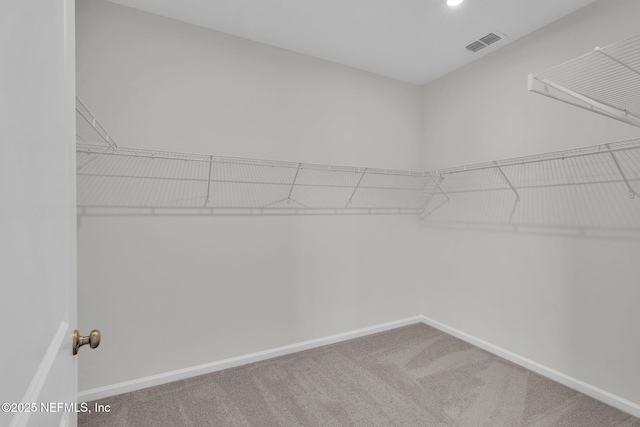 spacious closet featuring carpet flooring