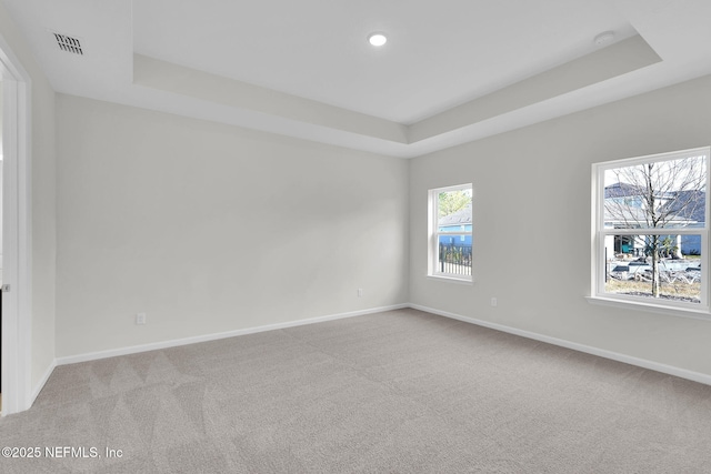 carpeted spare room with a raised ceiling