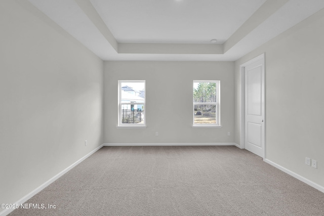 empty room with light colored carpet and a raised ceiling