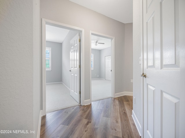 corridor featuring hardwood / wood-style flooring