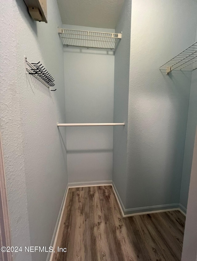 spacious closet featuring dark hardwood / wood-style flooring