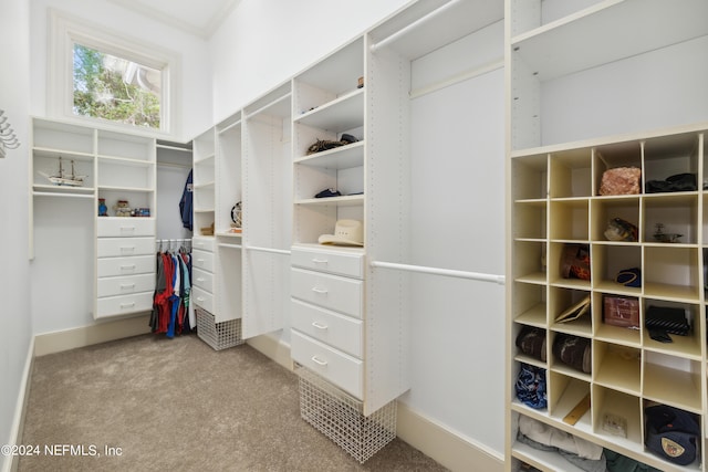 walk in closet with light colored carpet