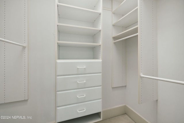 view of spacious closet