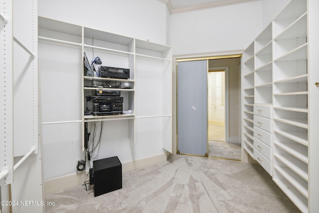 spacious closet with carpet